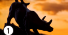 Kurs Doradca Inwestycyjny ON-LINE | 1 etap